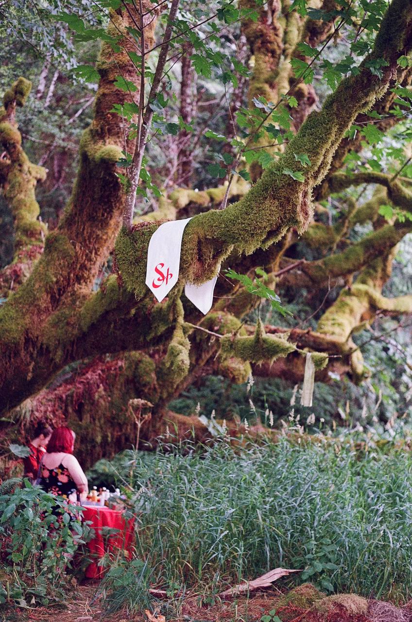 A pointed white S+ banner is draped over a thick branch of an old, mossy oak. Blurred at the base of the oak, behind the banner, two people stand at the Sphere + Sundry table, covered with a red tablecloth and materia offerings.